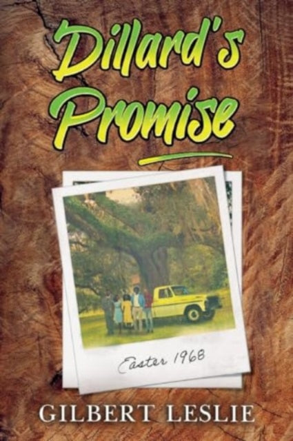 Book cover of: Dillard's Promise. By: Gilbert Leslie