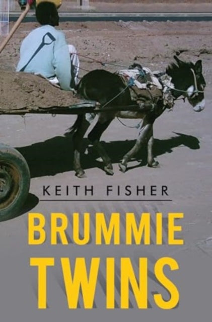 Book cover of: Brummie Twins