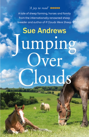 Jumping Over Clouds
