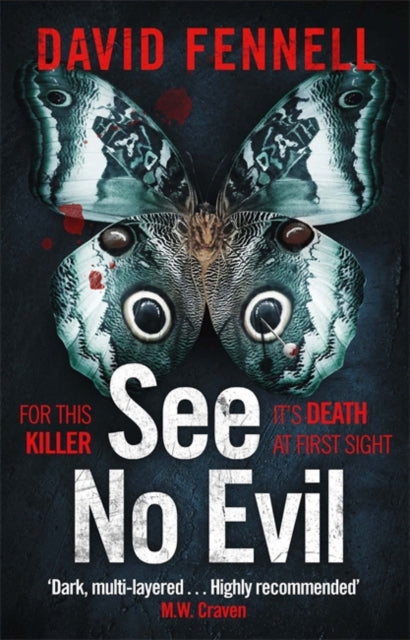 Book cover of: See No Evil. By: David Fennell