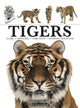 Book cover of: Tigers. By: Paula Hammond