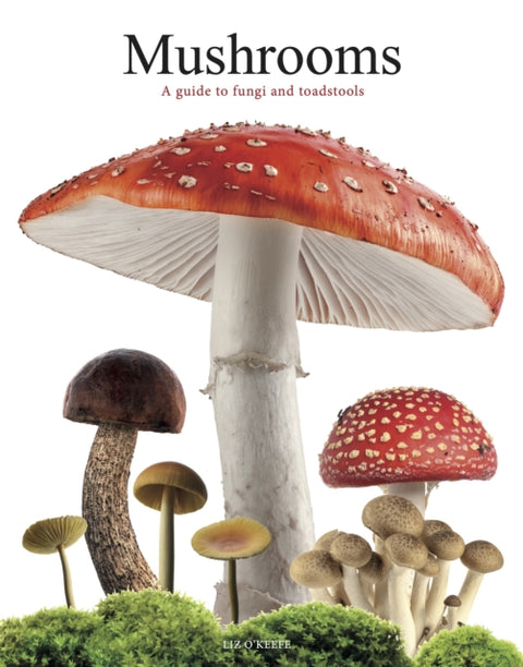 Mushrooms