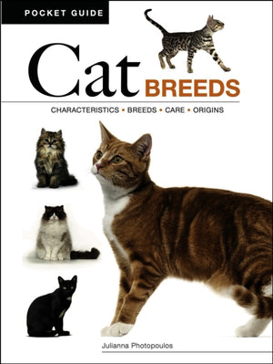 Cat Breeds, Characteristics * Breeds * Care * Origins
