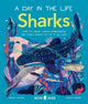 Book cover of: Sharks (A Day in the Life). By: Carlee Jackson