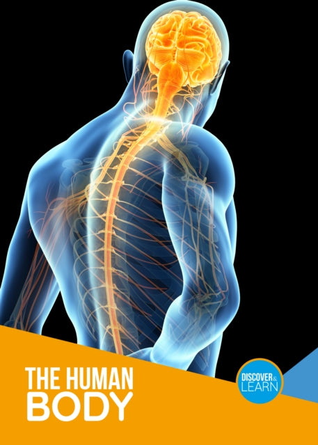 Book cover of: Human Body. By: Joanna Brundle