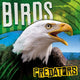Book cover of: Birds. By: Mignonne Gunasekara