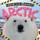 Book cover of: In the Arctic. By: Emilie Dufresne