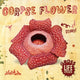 Book cover of: Corpse Flower. By: Anthony, William