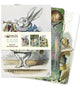 Book cover of: Alice in Wonderland Set of 3 Midi Notebooks. By: Flame Tree Studio
