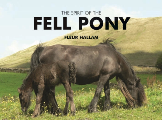 Book cover of: Spirit of the Fell Pony. By: Fleur Hallam