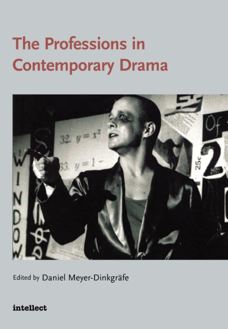 Book cover of: Professions in Contemporary Drama