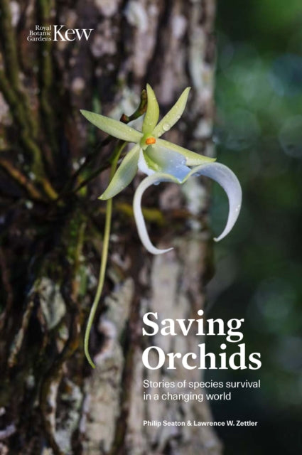 Book cover of: Saving Orchids