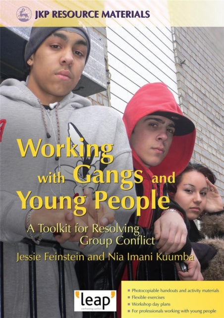 Book cover of: Working with Gangs and Young People. By: Jessie Feinstein