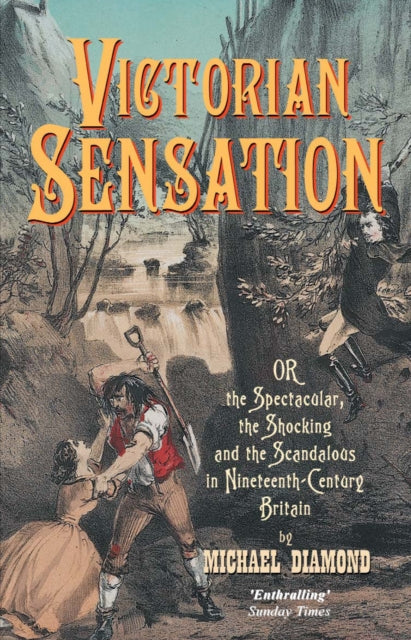 Book cover of: Victorian Sensation. By: Michael Diamond