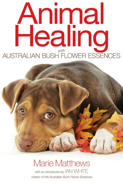 Book cover of: Animal Healing with Australian Bush Flower Essences. By: Marie Matthews