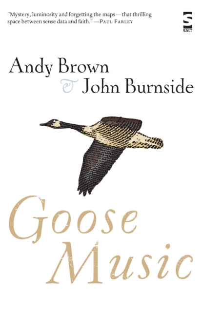 Book cover of: Goose Music. By: Andy Brown