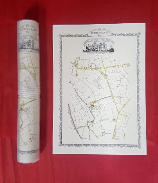 Book cover of: Reddicap Heath 1882 - Old Map Supplied Rolled in a Clear Two Part Screw Presentation Tube - Print Size 45cm x 32cm