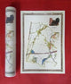 Book cover of: Rushall to Daw End 1888 - Old Map Supplied Rolled in a Clear Two Part Screw Presentation Tube - Print size 45cm x 32cm