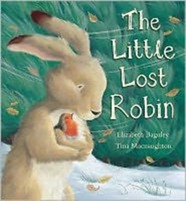 Book cover of: Little Lost Robin. By: Elizabeth Baguley