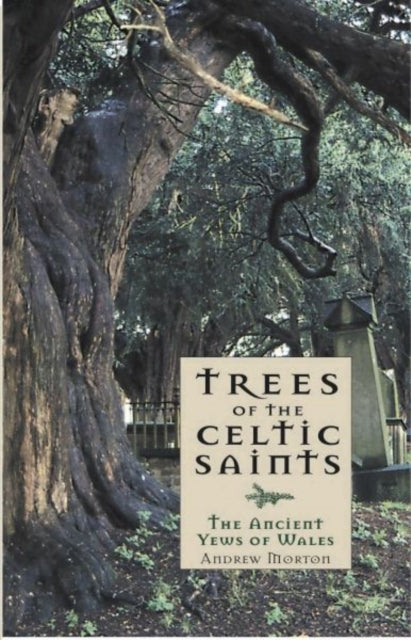 Book cover of: Trees of the Celtic Saints ? The Ancient Yews of Wales