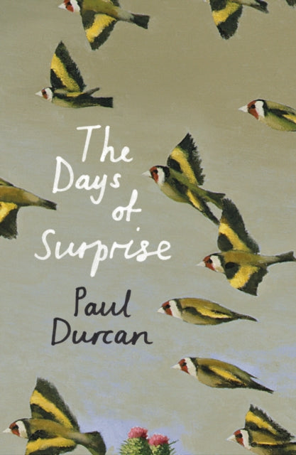The Days of Surprise
