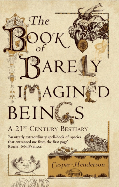Book of Barely Imagined Beings, A 21st-Century Bestiary 9781847082442 Caspar Henderson