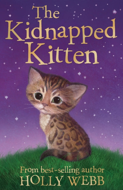 Book cover of: The Kidnapped Kitten