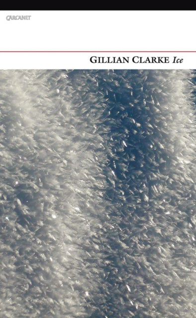 Book cover of: Ice. By: Clarke, Gillian