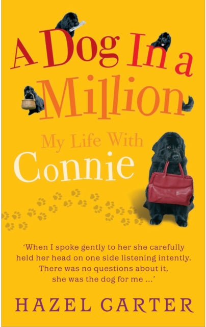 Book cover of: Dog in a Million. By: Hazel Carter