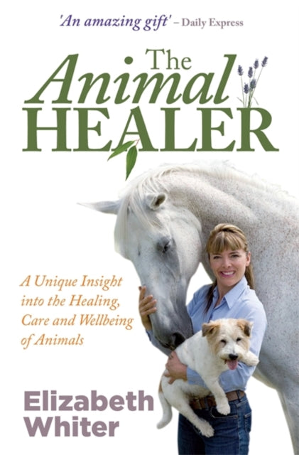 Book cover of: Animal Healer