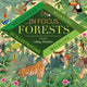 Book cover of: In Focus: Forests. By: Libby Walden