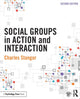 Book cover of: Social Groups in Action and Interaction. By: Charles Stangor