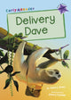 Book cover of: Delivery Dave. By: Jenny Jinks