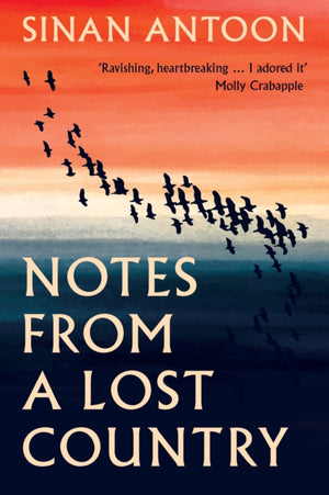 Notes from a Lost Country