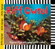 Cyfres Dwlu Dysgu: Riff Cwrel 9781849672009 Sarah Powell