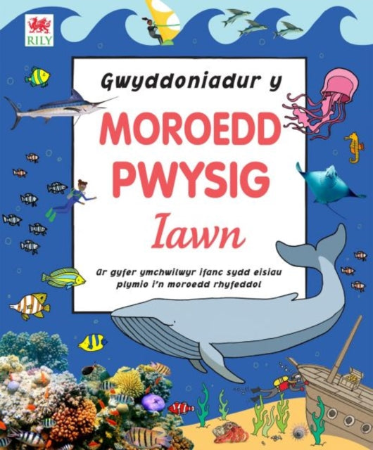 Book cover of: Gwyddoniadur y Moroedd Pwysig Iawn. By: Sian Lewis