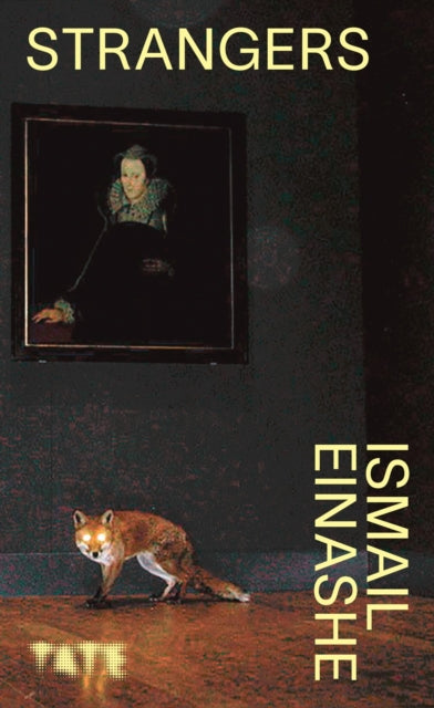 Book cover of: Look Again: Strangers. By: Ismail Einashe