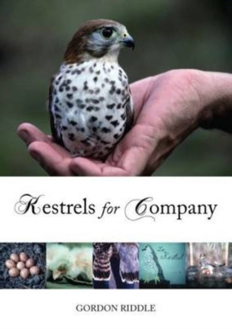 Book cover of: Kestrels for Company