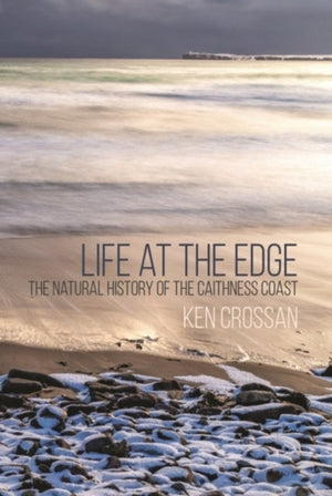 Life at the Edge