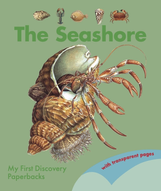 Book cover of: Seashore. By: Pierre De Hugo