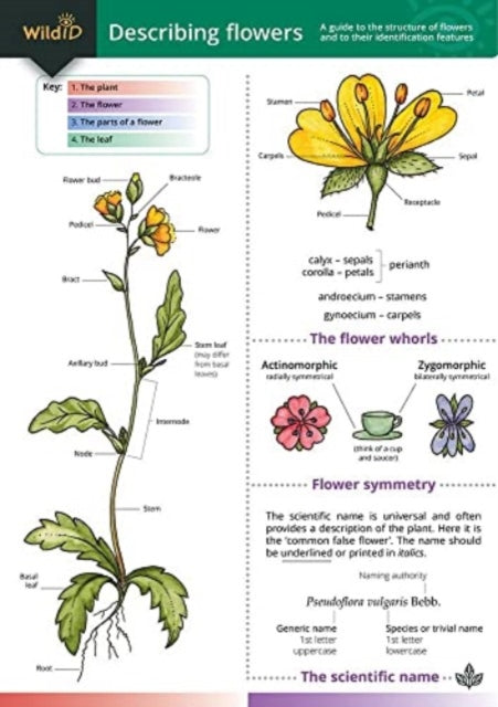 Book cover of: Describing Flowers