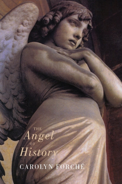 Book cover of: Angel of History