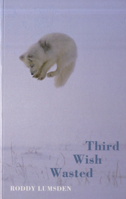 Book cover of: Third Wish Wasted