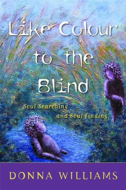 Book cover of: Like Colour to the Blind. By: Donna Williams