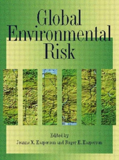 Book cover of: Global Environmental Risk