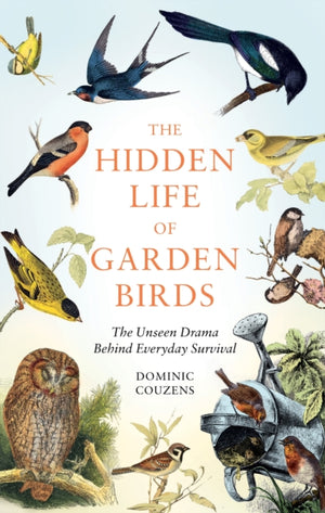 Hidden Life of Garden Birds