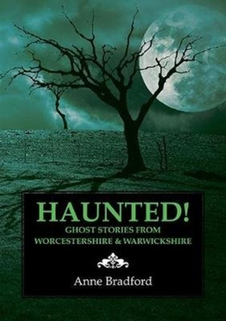 Book cover of: Haunted!