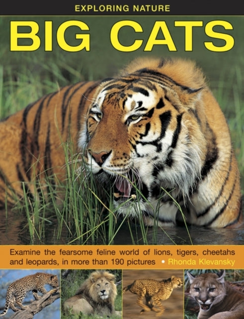 Book cover of: Exploring Nature: Big Cats