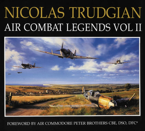 Air Combat Paintings