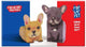 Book cover of: Pop Up Pet Frenchie Puppies